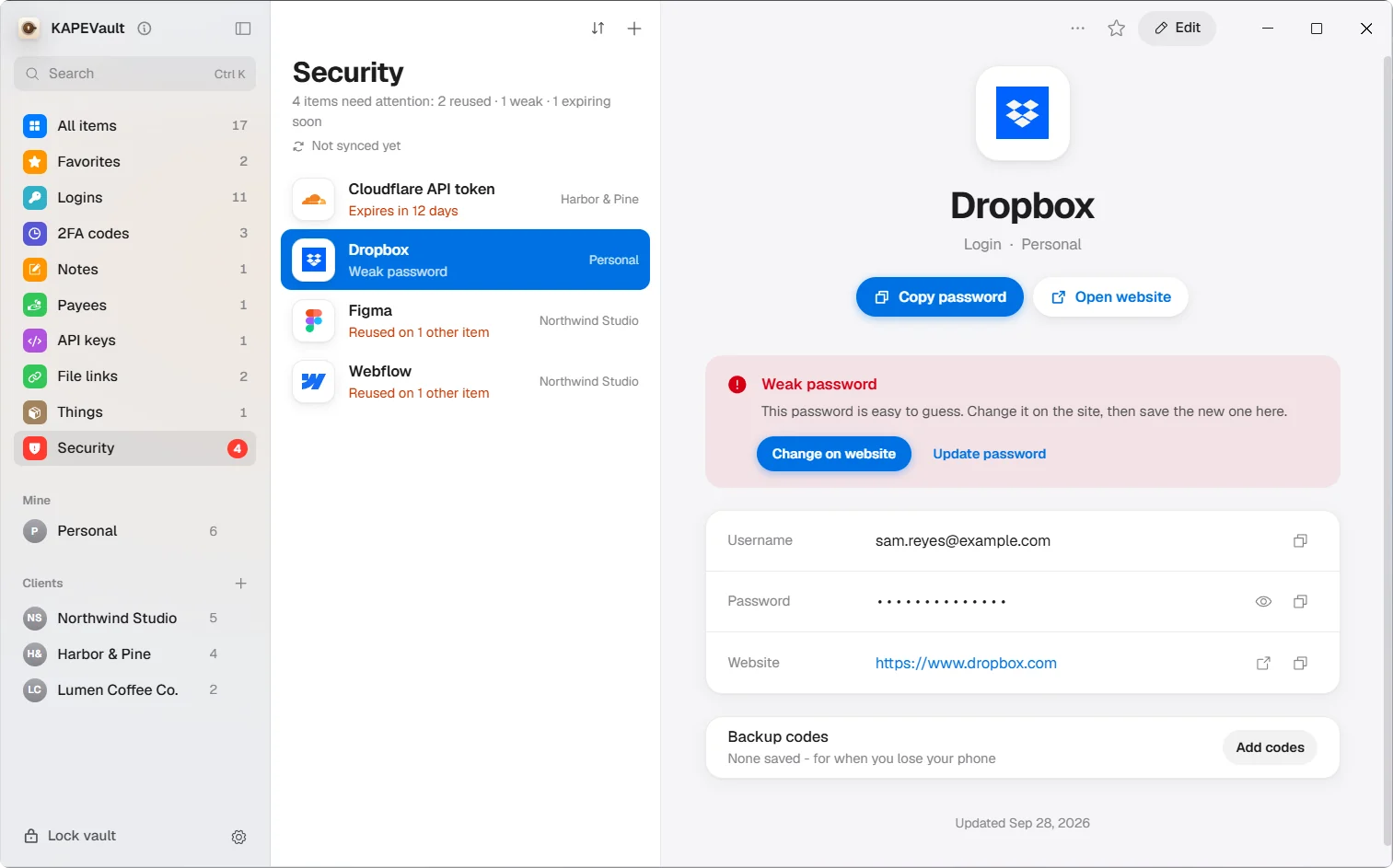 KAPEVault Security view listing reused, weak and expiring passwords
